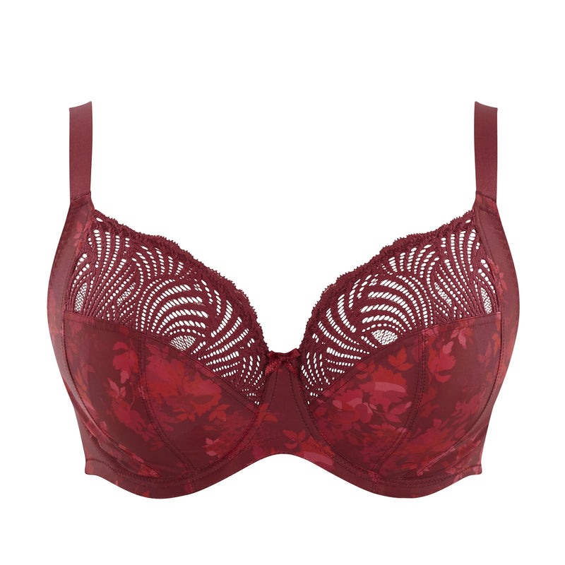 Arianna Full Cup Bras RED MULTI